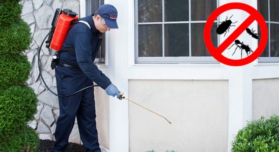 Egekent Böcek İlaçlama böcek ilaçlama ve haşere kontrolü — ilaclama-tr.com